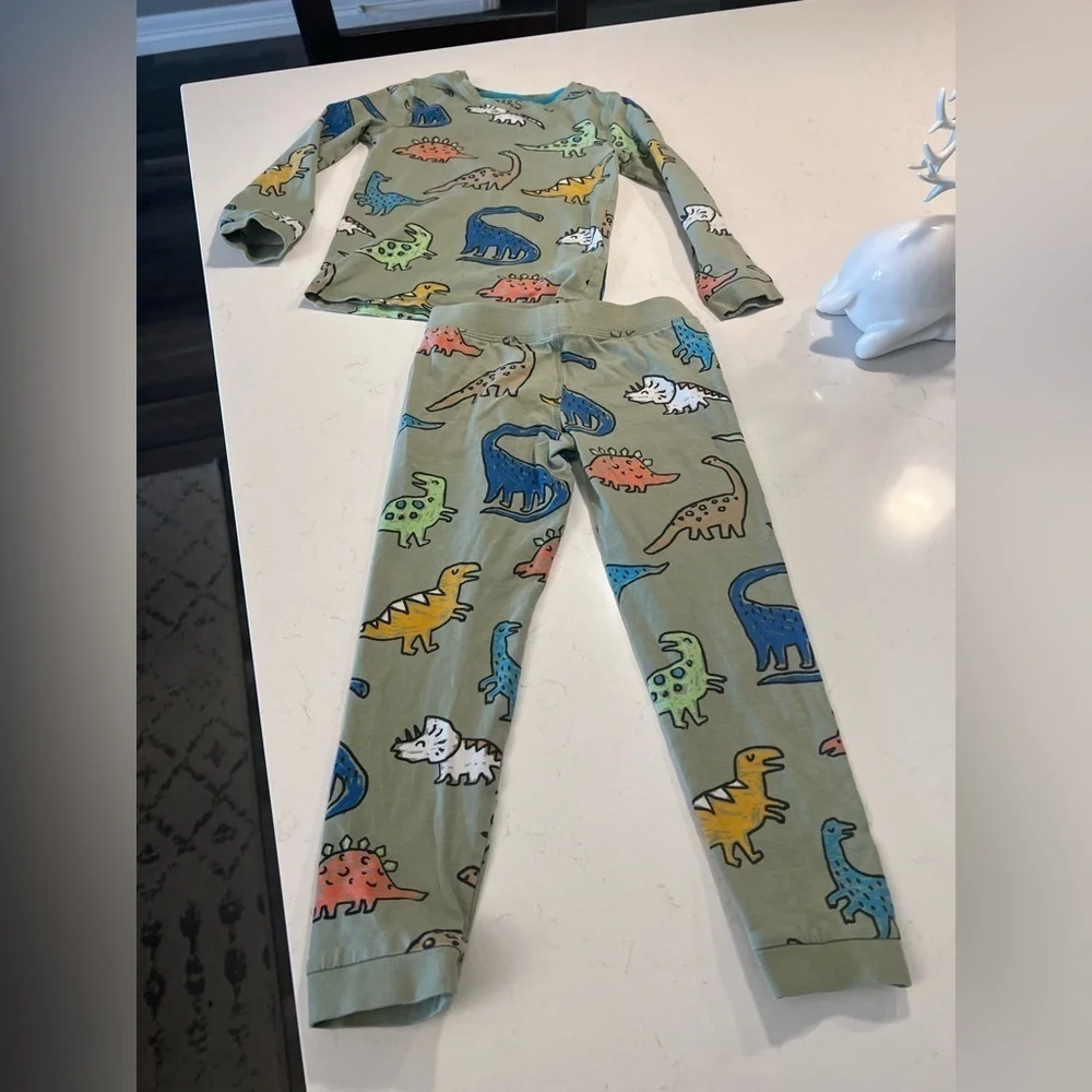 Cotton Rich Dinosaur Pajamas 5-6yrs